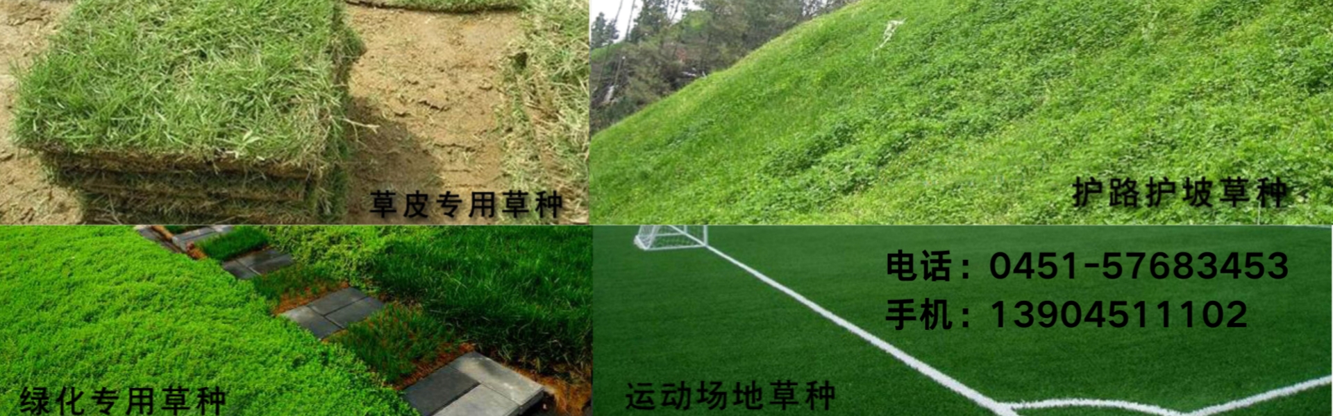 香港全年最全免费资料大全