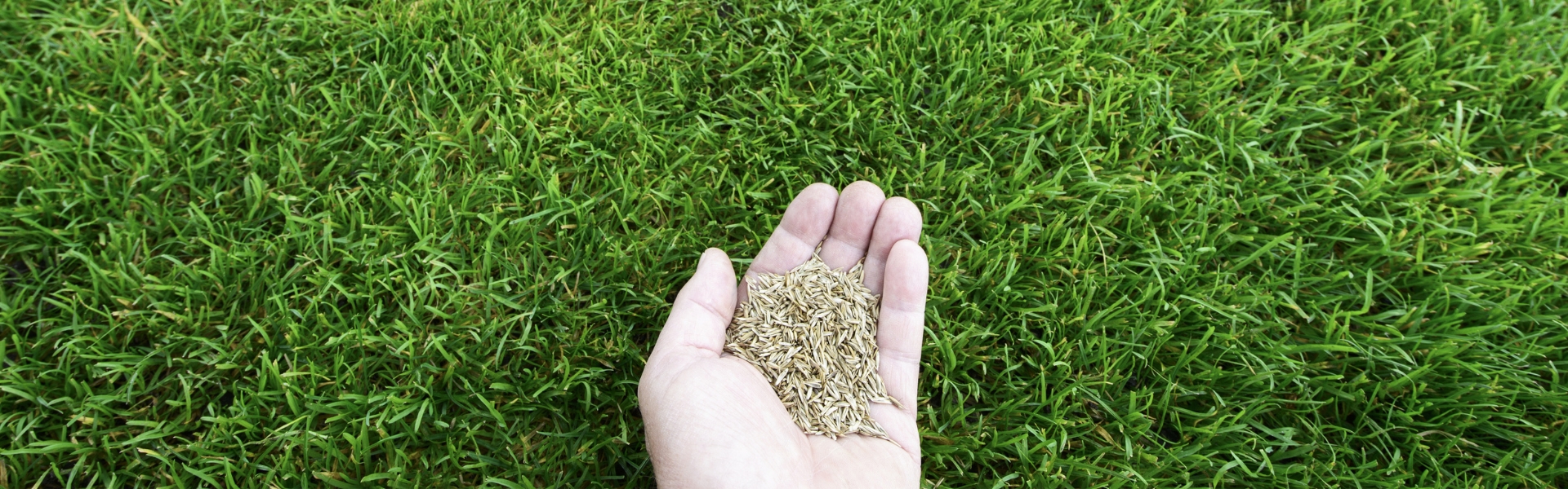 香港全年最全免费资料大全